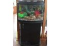 Продаю аквариум в отличном состоянии в городе Тверь, фото 1, Тверская область