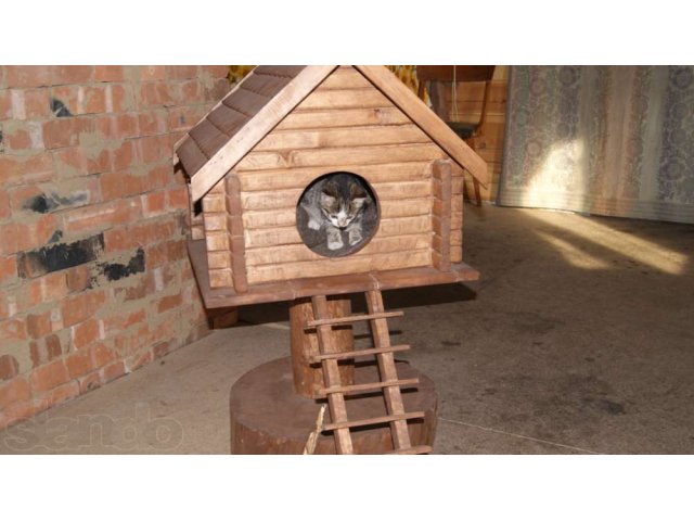 Домик для кошки в городе Улан-Удэ, фото 2, Бурятия