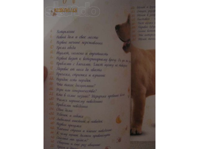 Продам или меняю Книгу про собак и фото альбом про Котенка в городе Волгоград, фото 6, Аксессуары