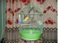 Продаю клетки для попугая и хорька в городе Астрахань, фото 1, Астраханская область
