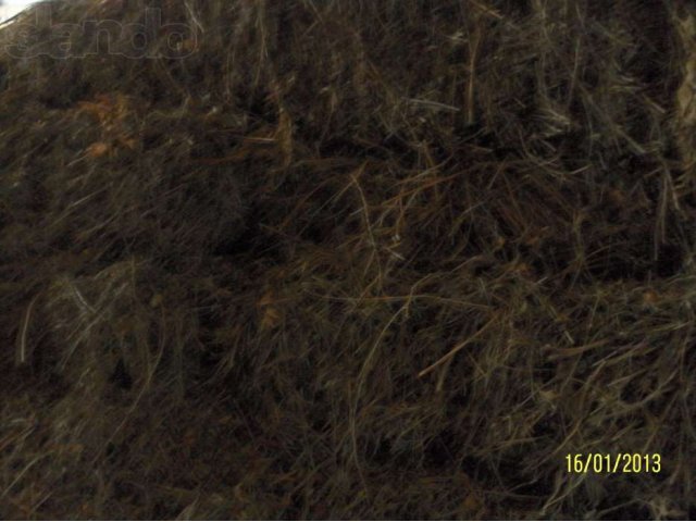 Продается сено в городе Иловля, фото 1, Аксессуары