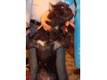 Потерялась собака черного окраса сука в городе Салават, фото 7, Башкортостан
