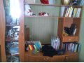 продаю шкаф в городе Благовещенск, фото 1, Амурская область