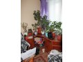 продам стол компьютерный офисный в городе Бийск, фото 2, стоимость: 3 400 руб.