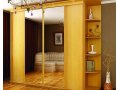 Шкафы купе по индивидуальным размерам с производства выезд на дом в городе Пенза, фото 3, Мебель на заказ