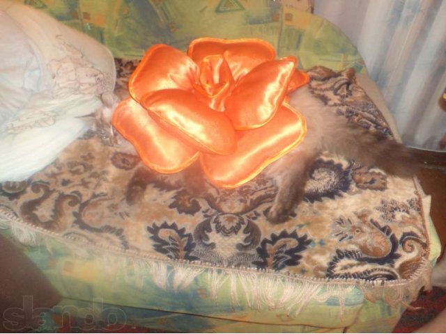 подушка- роза в городе Бийск, фото 3, Подушки и одеяла