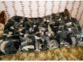 Декоративный ковёр-плед из кусочков шкур животных в городе Армавир, фото 1, Краснодарский край