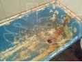 Демонтируем вашу старую ванну,вывезем батареи! в городе Красноярск, фото 1, Красноярский край