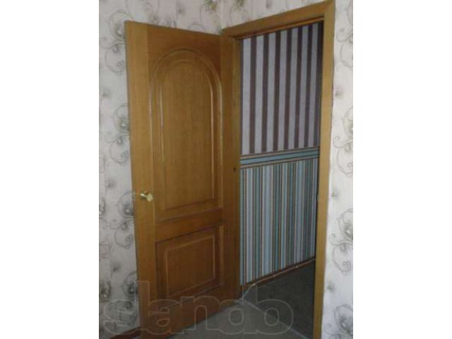 Двери шпон продам очень дешево в городе Пенза, фото 2, Пензенская область