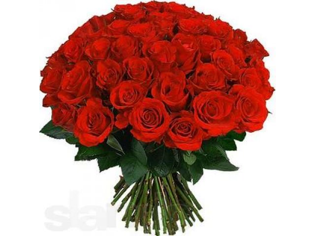 Букет 101 роза. в городе Пушкино, фото 1, стоимость: 2 000 руб.