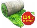 Рулонный газон в Краснодаре 114 руб/рулон в городе Краснодар, фото 1, Краснодарский край