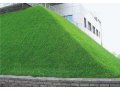 Озеленение , гидропосев , дизайн , газоны в городе Калининград, фото 8, стоимость: 1 руб.