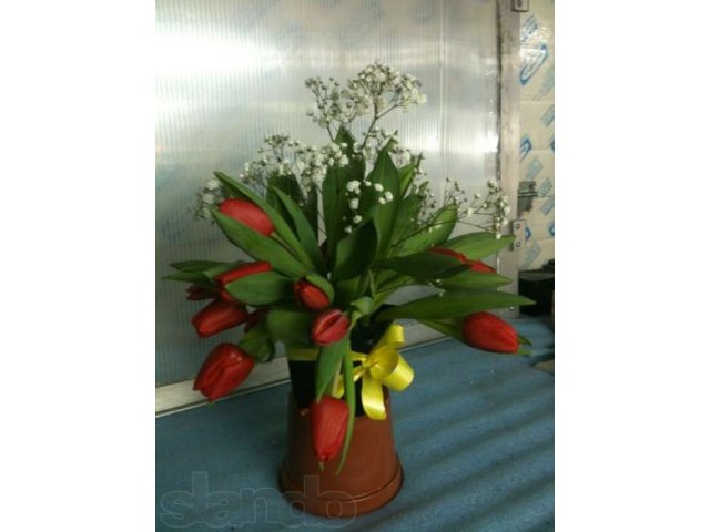 Тюльпаны оптом к 8 марта в городе Екатеринбург, фото 1, стоимость: 40 руб.
