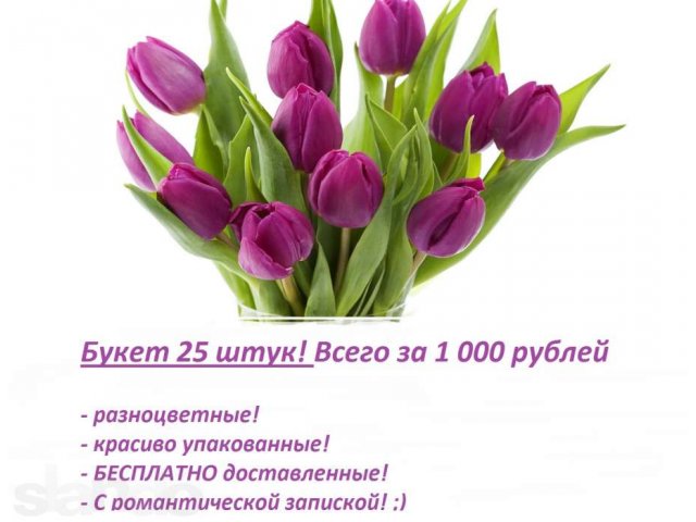 Тюльпаны оптом и в розницу в городе Томск, фото 1, стоимость: 35 руб.