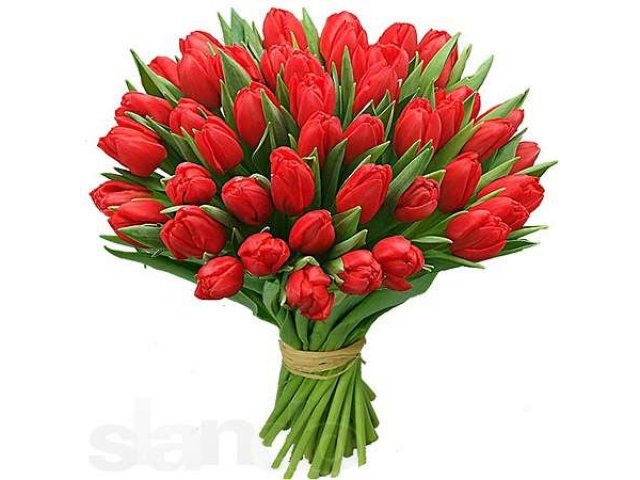 Тюльпаны , доставка, Опт-Розница в городе Екатеринбург, фото 1, стоимость: 24 руб.