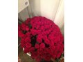 Продам 111 красных роз 100см в городе Пермь, фото 1, Пермский край