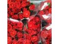 Лучшие цены на Голландские тюльпаны в Архангельске в городе Архангельск, фото 1, Архангельская область