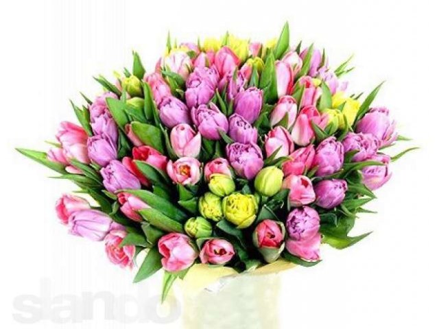 Тюльпаны на 8 Марта оптом и в розницу в городе Екатеринбург, фото 1, Садовые растения