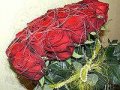 Цветы. Розы оптом. в городе Волгоград, фото 1, Волгоградская область