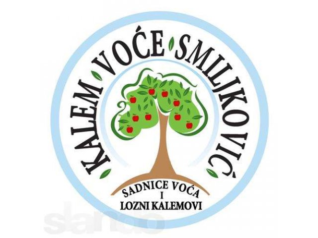 Производство и продажа фруктовых деревьев и виноградной лозы в городе Волгоград, фото 1, стоимость: 0 руб.