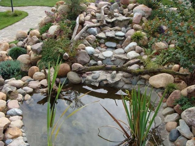 Построю декоративный пруд,ландшафтный бассейн,пруд для разведения рыбы в городе Пенза, фото 2, Пензенская область