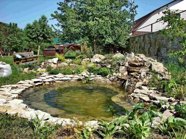 Построю декоративный пруд,ландшафтный бассейн,пруд для разведения рыбы в городе Пенза, фото 4, Другое
