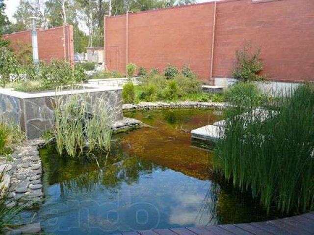 Построю декоративный пруд,ландшафтный бассейн,пруд для разведения рыбы в городе Пенза, фото 7, Другое