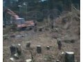 валка деревьев и планировка участка. Санкт-Петербург в городе Санкт-Петербург, фото 4, Ленинградская область