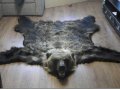 продам шкуру медведя в городе Череповец, фото 1, Вологодская область
