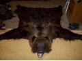 продам шкуры медведя и рыси в городе Кострома, фото 1, Костромская область