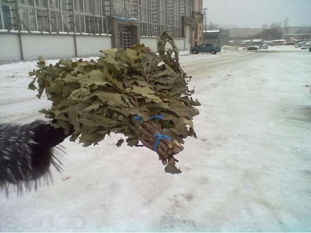 банные веники в городе Пенза, фото 2, Пензенская область