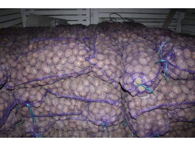 Продаю картофель в городе Вологда, фото 1, стоимость: 400 руб.