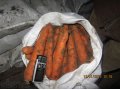 Морковь оптом в городе Волжский, фото 1, Волгоградская область