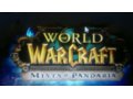 Продам учетную запись World of Warcraft в городе Брянск, фото 1, Брянская область