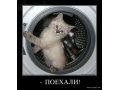 Ремонт стиральных машин! в городе Раменское, фото 1, Московская область