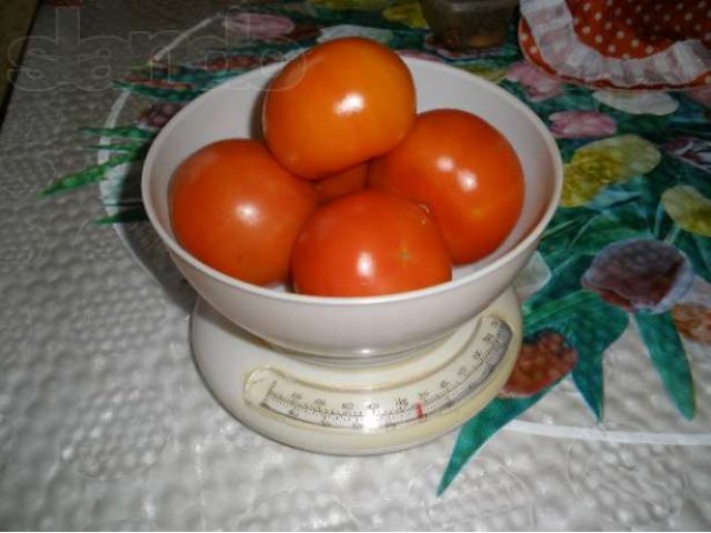 Весы кухонные в городе Казань, фото 1, Прочее