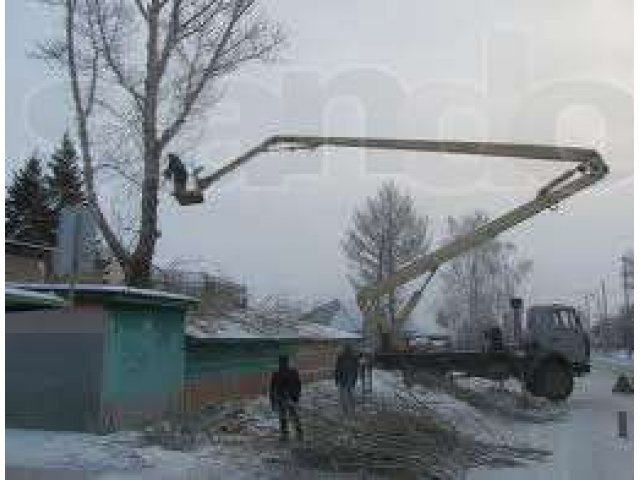 спил деревьев,снос конструкций,планировка участка в городе Нижний Новгород, фото 1, стоимость: 0 руб.