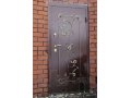 металлические двери в городе Астрахань, фото 1, Астраханская область