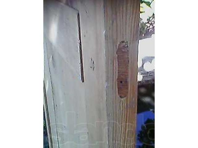 Дверь филенчатая в городе Дмитров, фото 2, стоимость: 0 руб.