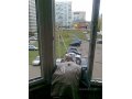 Вылечим окна. Электросталь, Ногинск,Черноголовка в городе Ногинск, фото 1, Московская область