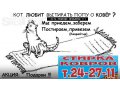 Стирка ковров в городе Ижевск, фото 1, Удмуртия