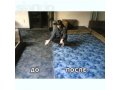 Химчистка ковров,мягкой мебели,обработка кожи кондиционером. в городе Тюмень, фото 1, Тюменская область