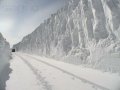 Вывоз и уборка снега (СПб и ЛО) в городе Санкт-Петербург, фото 1, Ленинградская область