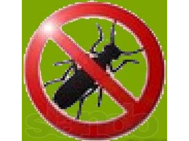 Дезинсекция. Уничтожаем любых насекомых! Тараканов, пауков, мух и пр. в городе Волгоград, фото 1, стоимость: 0 руб.