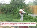Уничтожение комаров в Самаре. Обработка участка от комаров в городе Самара, фото 1, Самарская область