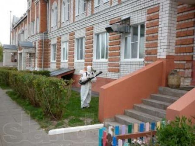 Уничтожение клопов в городе Орехово-Зуево, фото 1, стоимость: 0 руб.