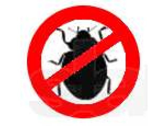 Травление клопов, клещей, тараканов, крыс и прочих насекомых в городе Тюмень, фото 1, Дезинфекция
