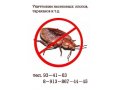 Уничтожение клопов тараканов крыс мышей в городе Томск, фото 1, Томская область