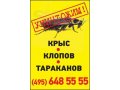 Уничтожение тараканов, уничтожение клопов в городе Москва, фото 1, Московская область