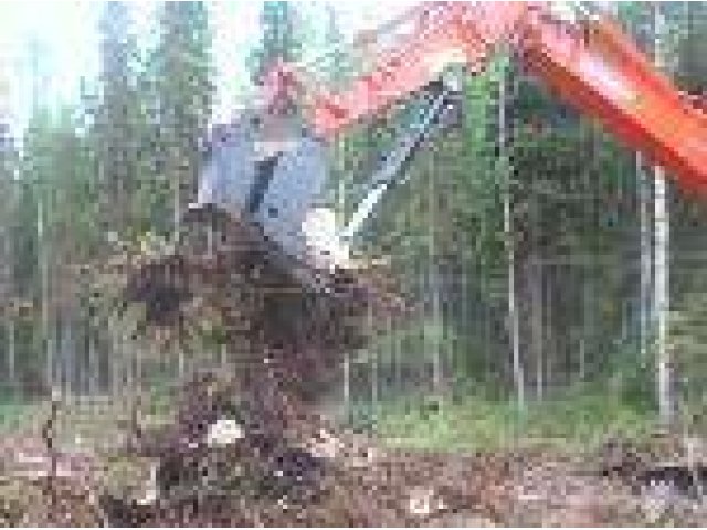 Спил деревьев в городе Нижний Новгород, фото 2, Нижегородская область